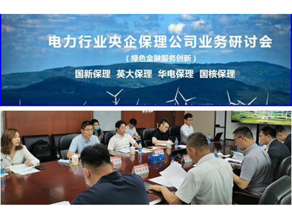 国新保理组织召开绿色金融服务研讨会