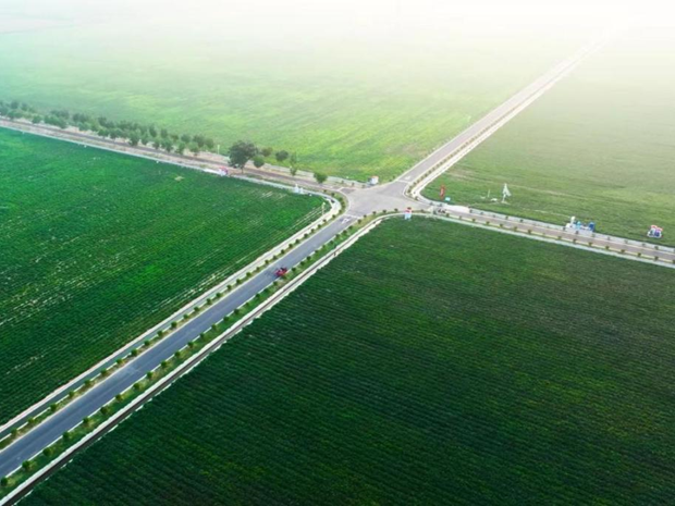 国新保理创新开发“三农”金融产品